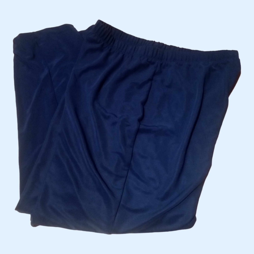 S.Graver large blue pull on pants
